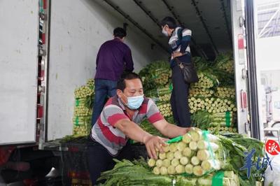 广州撑你!200吨湖北滞销农副产品运抵江南果菜批发市场
